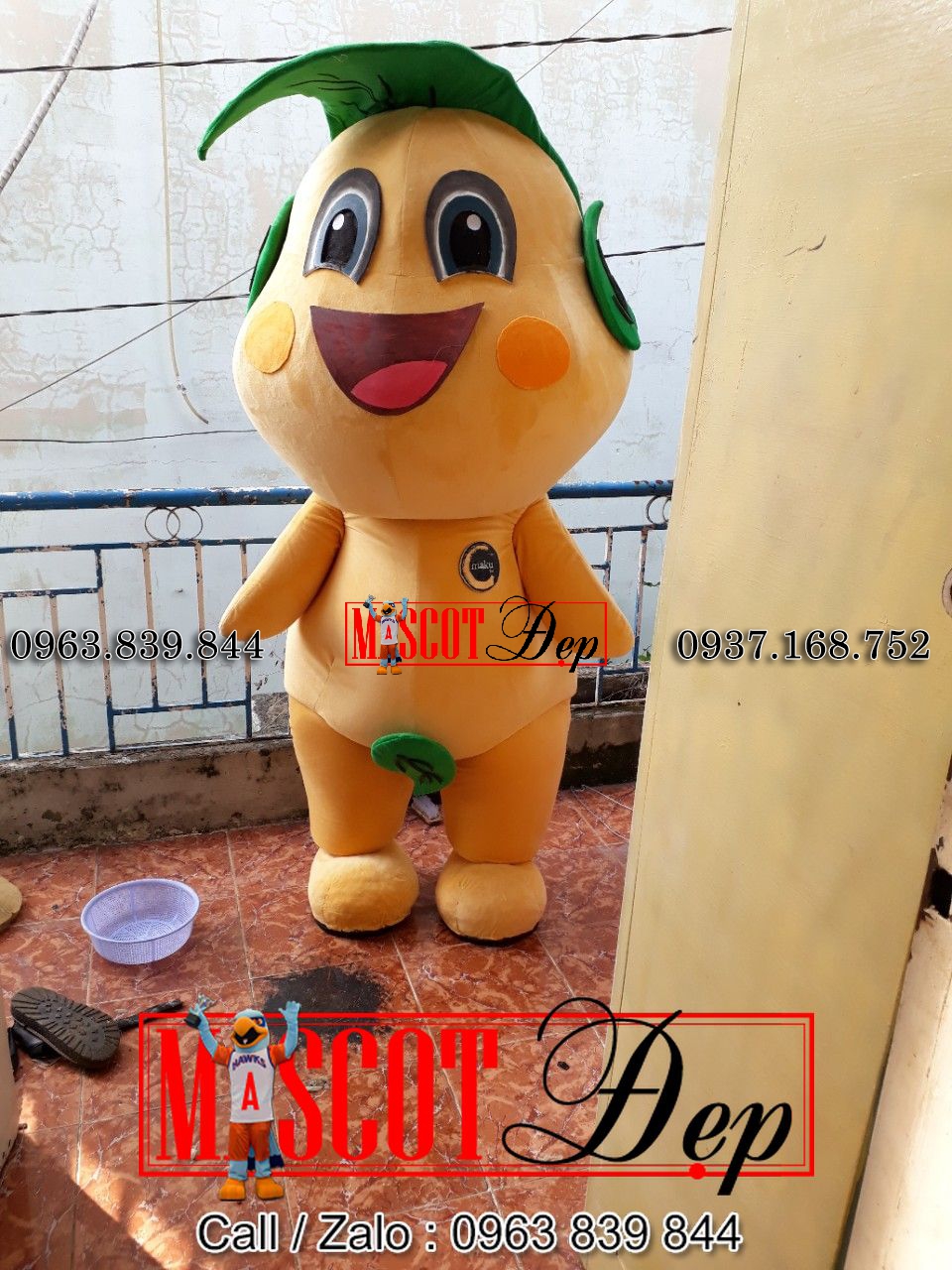 z1002007911559 f2d86af0a194a2ecfa658cd7cb9efd48 result