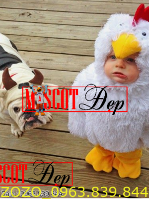 Thú hở mặt baby chicken