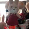 Mascot thỏ Kawai 2 z1007801626482 d93e440dafdcb7b154232180ca9479c6 result