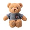 Gấu bông Teddy bear áo len 2 g u b ng teddy bear o len 5