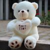 Gấu bông quà tặng tình nhân LOVE 2 gau bong om tim