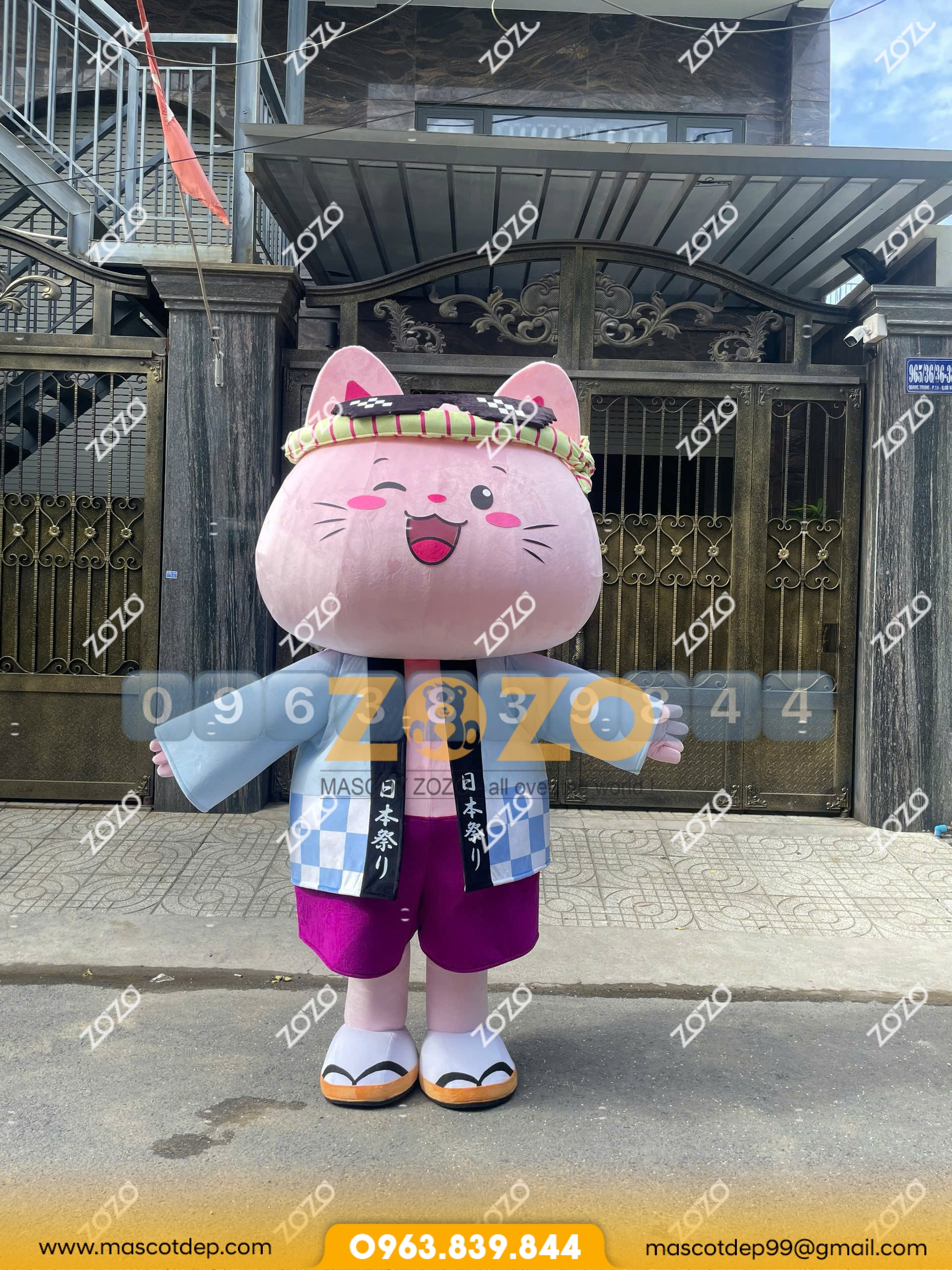 Mascot mèo hồng mặt trước Mascot mèo hồng mặt trước